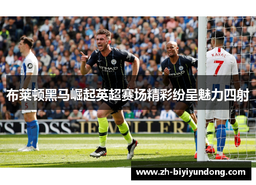 布莱顿黑马崛起英超赛场精彩纷呈魅力四射