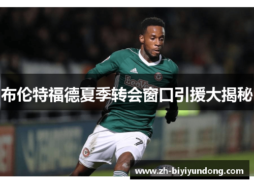 布伦特福德夏季转会窗口引援大揭秘